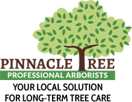 Logo for Pinnacle Tree Professional Arborists.
